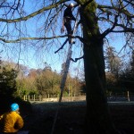 A Mapa Scotland member cutting branches from a tree next to the site for a new workshop