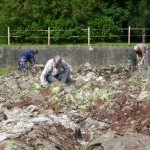 Mapa Scotland members cleaning the map